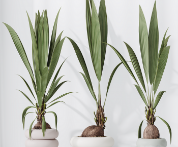 Modern Ground Green Plant Potted Plants-ID:288269559