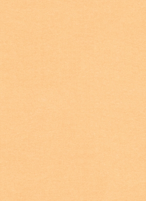 现代壁纸-ID:951330729