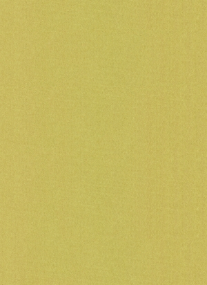现代壁纸-ID:389089112
