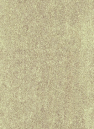 现代壁纸-ID:673265935