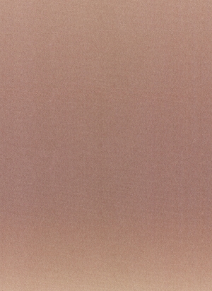 现代壁纸-ID:395994904