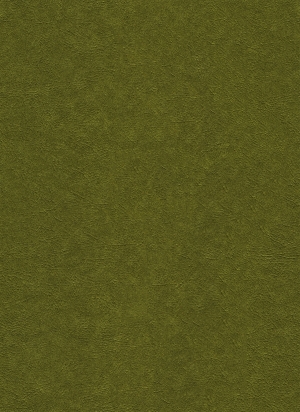 现代壁纸-ID:375333073