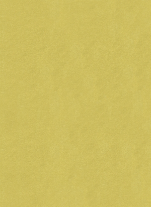 现代壁纸-ID:880141025