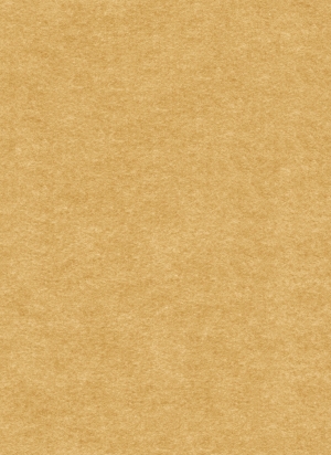 现代纯色粗布-ID:792747029