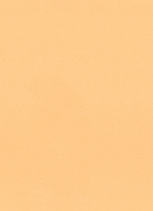 现代纯色粗布-ID:568952081