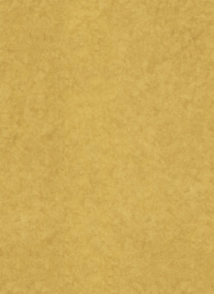 现代纯色粗布-ID:795305976