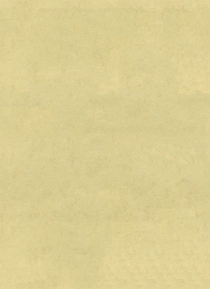 现代纯色粗布-ID:521924022