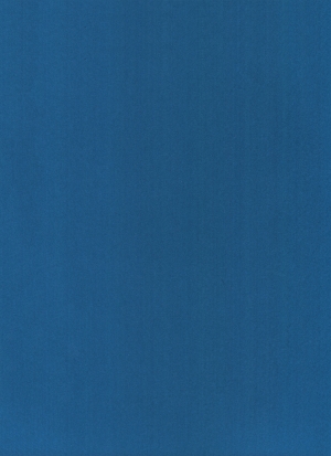 现代纯色粗布-ID:493600446