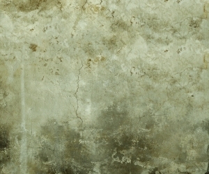 ModernWall Covering