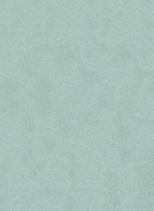 现代纯色粗布-ID:477442987