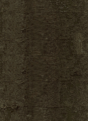 现代纯色粗布-ID:256834984