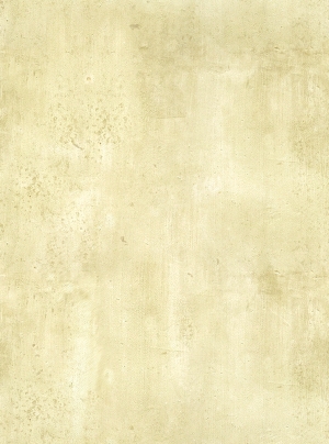 现代纯色粗布-ID:631510979