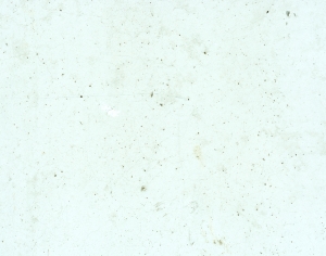 现代墙面肌理-ID:864961168