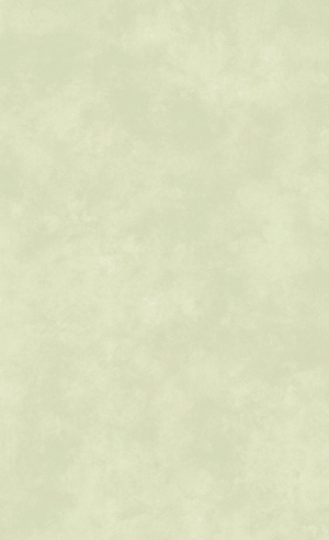 现代墙面肌理-ID:755003934