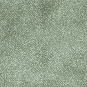 ModernFine Grain Leather