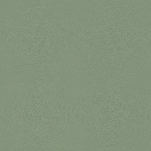 纯色壁纸-ID:243454934