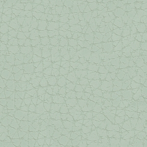 ModernFine Grain Leather