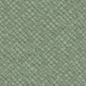 ModernFine Grain Leather