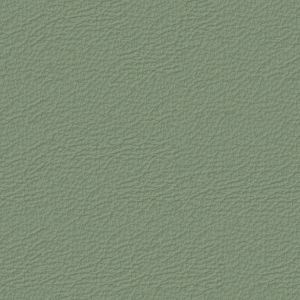 ModernFine Grain Leather