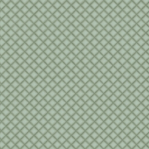 ModernFine Grain Leather