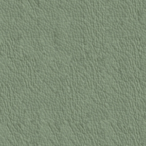 ModernFine Grain Leather