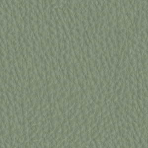 皮革-ID:104862932