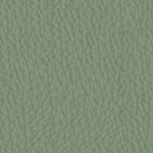 ModernFine Grain Leather