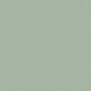 纯色壁纸-ID:505038986