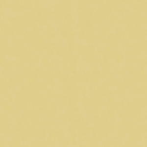 纯色壁纸-ID:999995956