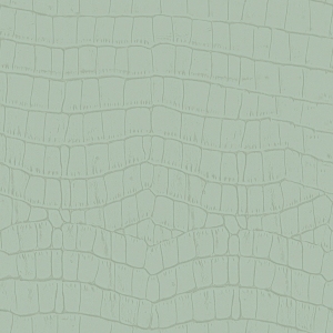 ModernFine Grain Leather