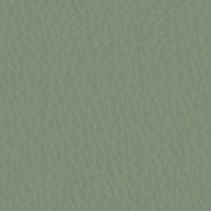 ModernFine Grain Leather