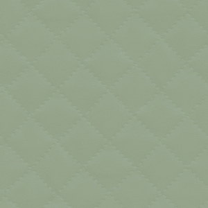 ModernFine Grain Leather