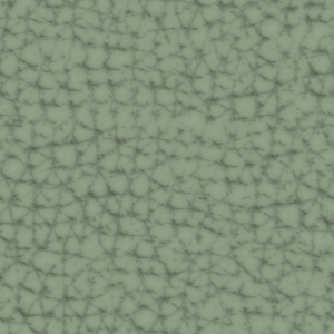 ModernFine Grain Leather