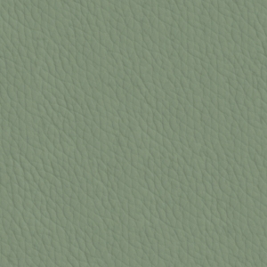 ModernFine Grain Leather