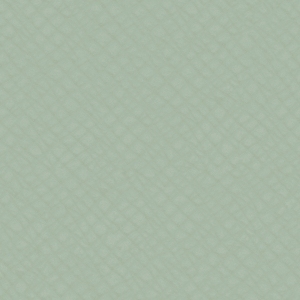 ModernFine Grain Leather