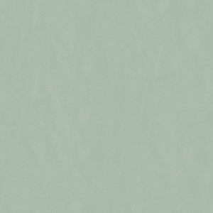 纯色壁纸-ID:255218038