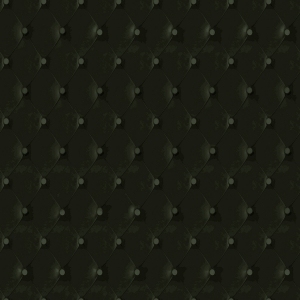 ModernFine Grain Leather