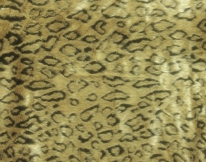 动物毛毯-ID:6383826