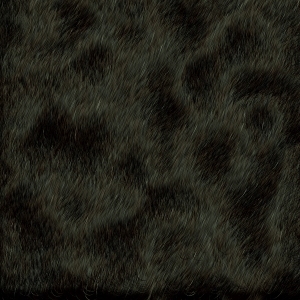 ModernFine Grain Leather