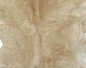 动物毛毯-ID:566504965