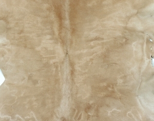 动物毛毯-ID:6383962