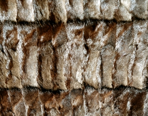 动物毛毯-ID:498120074