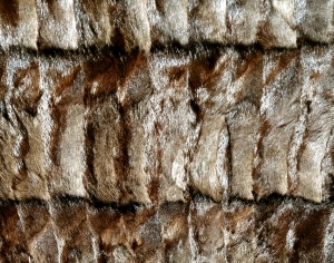 动物毛毯-ID:6383977