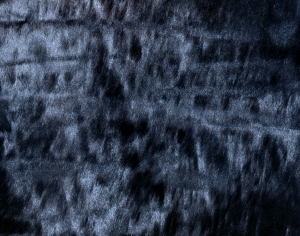 动物毛毯-ID:481686125