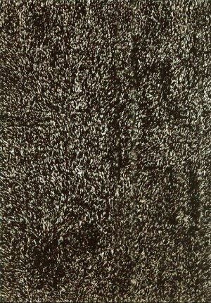 动物毛毯-ID:278783087