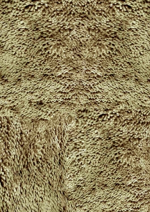 动物毛毯-ID:918483975