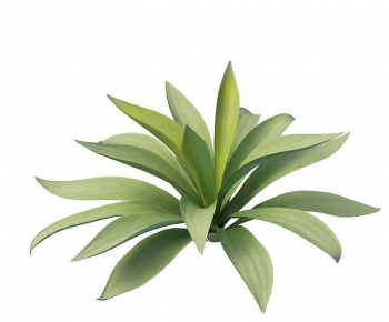 Modern Plant-ID:723237991