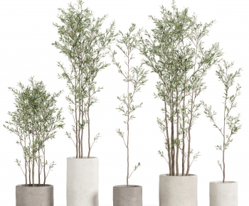 Modern Ground Green Plant Potted Plants-ID:707080414