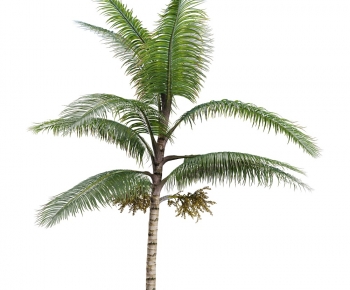 Modern Tree-ID:399997003