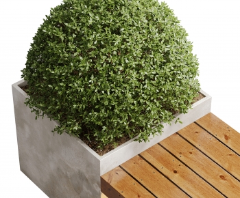 Modern Shrubbery-ID:429728988